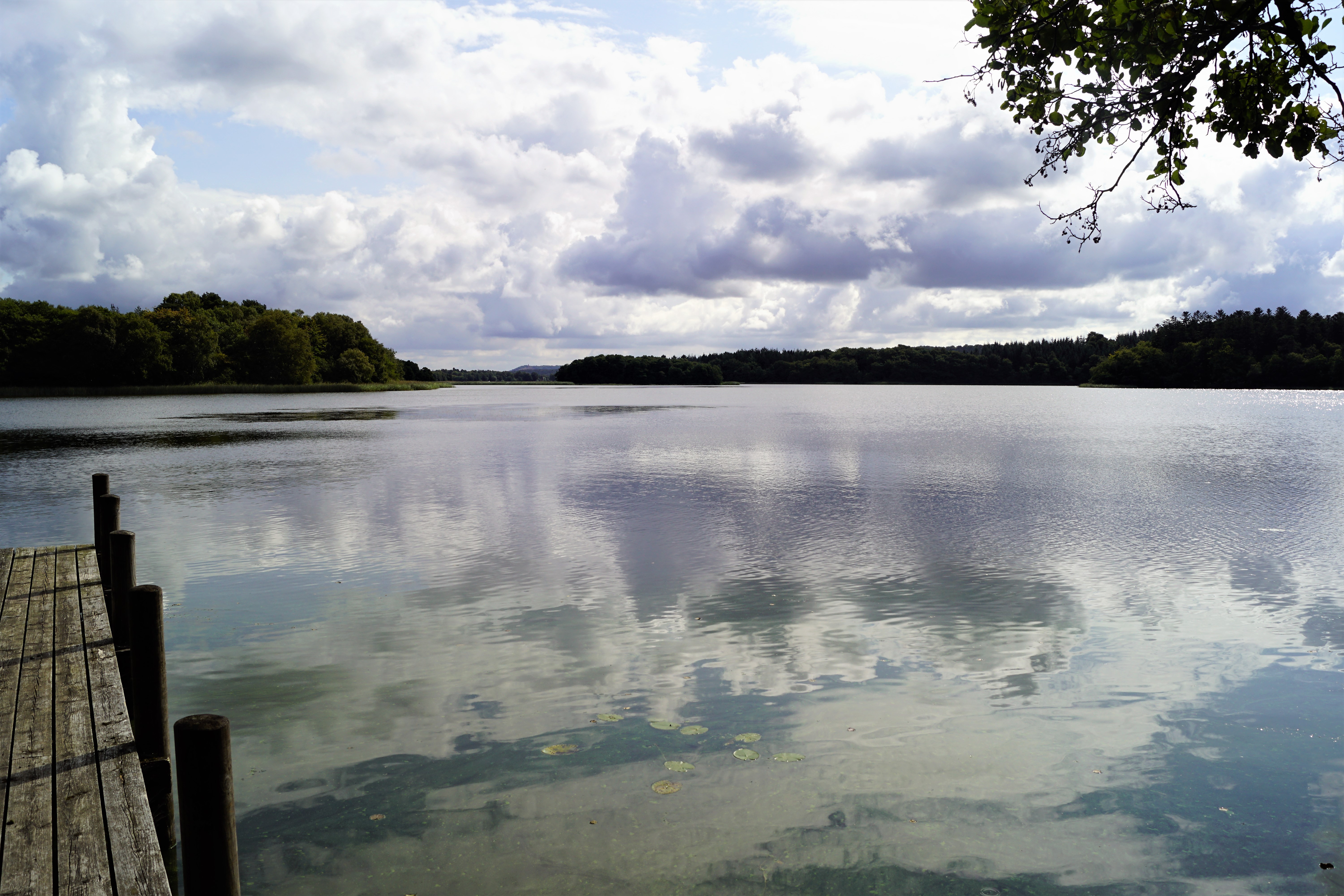 Brassø